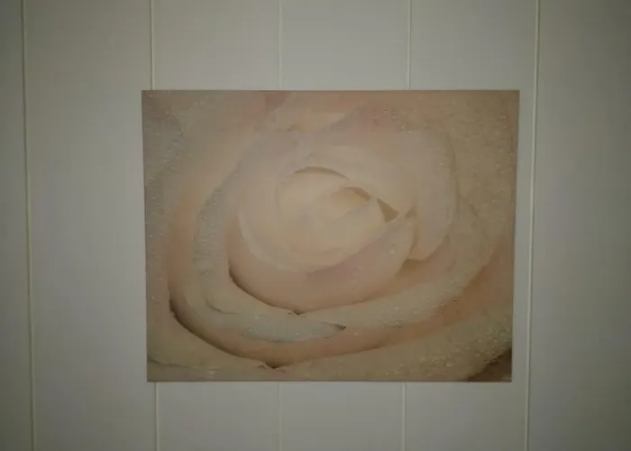 Apartmán Avi Burgplatz